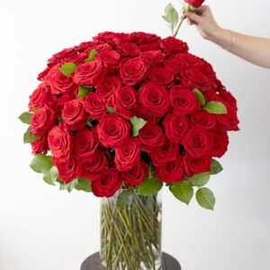 50 long stemmed red roses