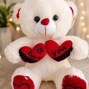 Love Teddy Bear with red heart details